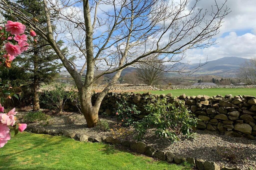 Snowdonia cabin Caernarfon Zewnętrze zdjęcie