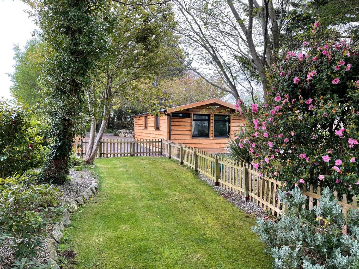 Snowdonia cabin Caernarfon Zewnętrze zdjęcie