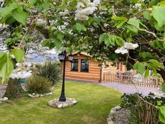 Snowdonia cabin Caernarfon Zewnętrze zdjęcie
